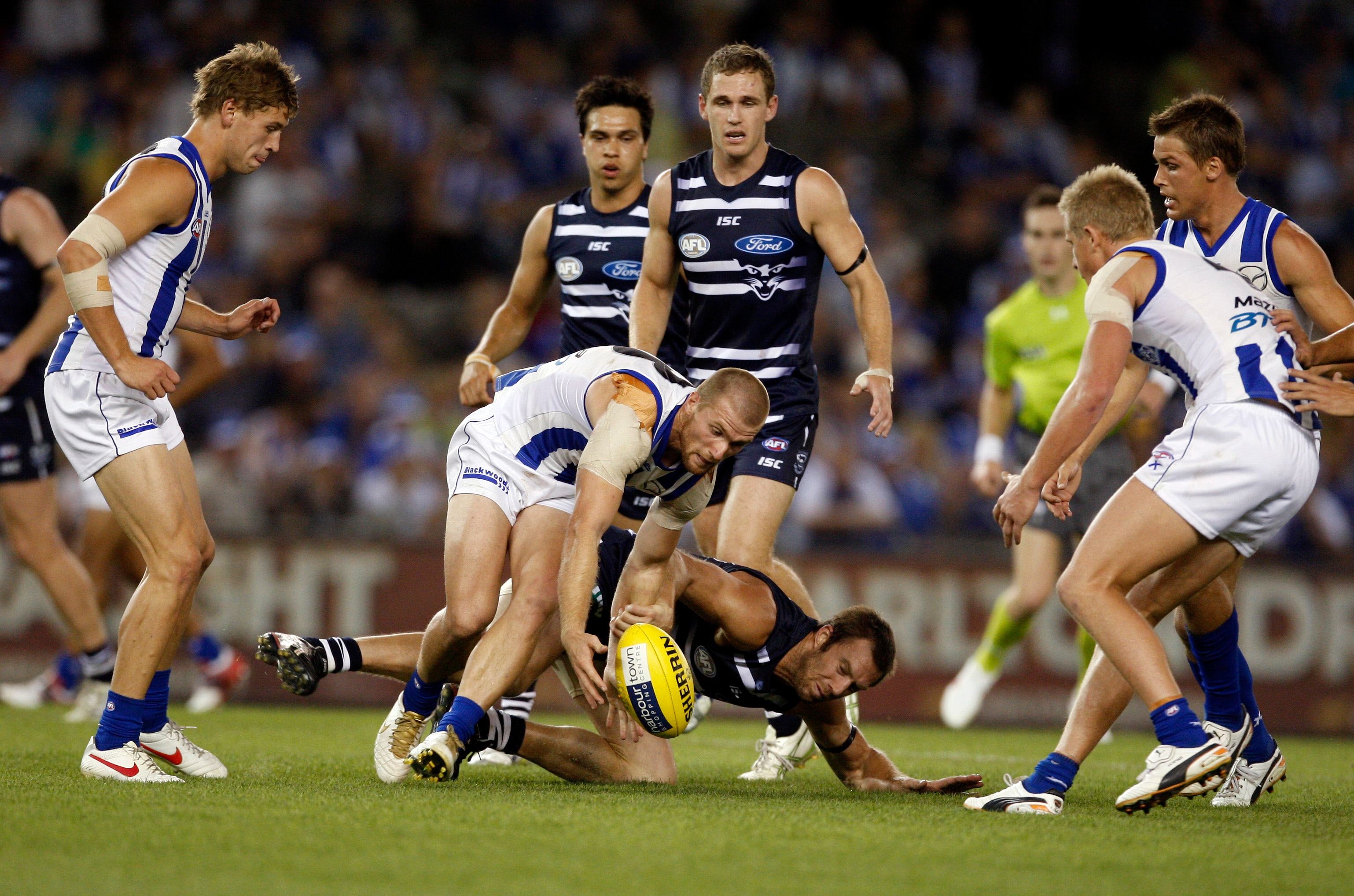 Geelong v North Melbourne match preview